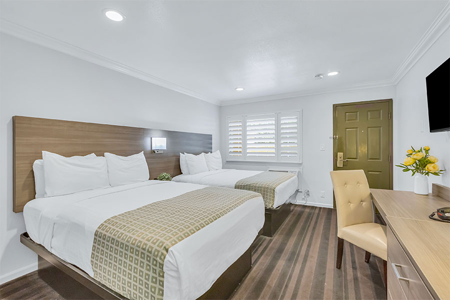 Relax In Our Well-Appointed Guest Rooms